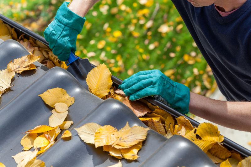 Holiday Season Gutter Maintenance