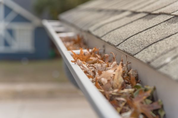 Leaf Barrier Installation in Hillsborough